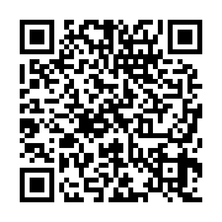 QR code for X209395