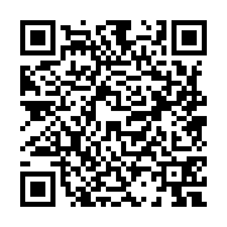 QR code for X209703