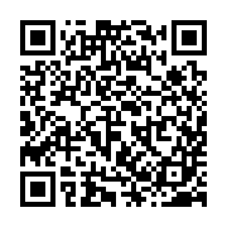 QR code for X21383