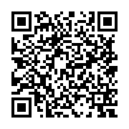 QR code for X218619