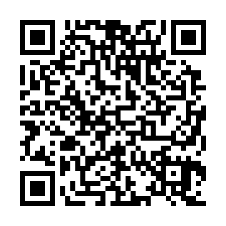 QR code for X223250