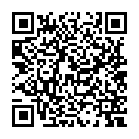 QR code for X229626