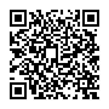 QR code for X234273