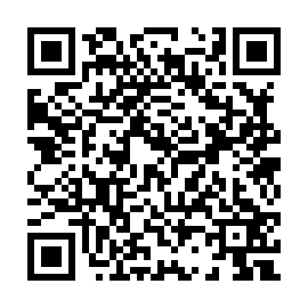 QR code for X238232
