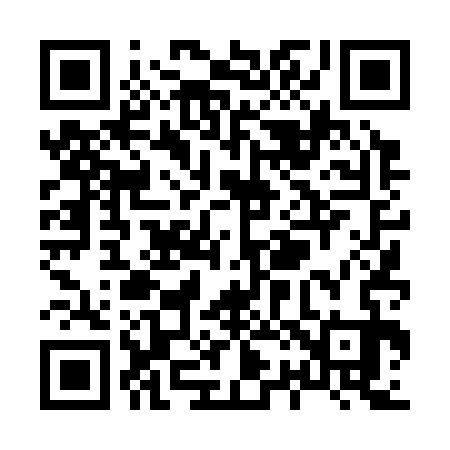 QR code for X24333