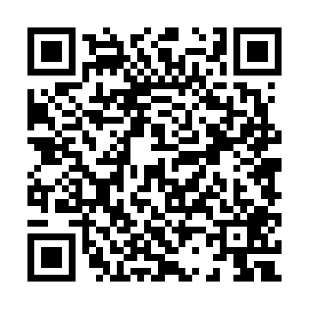QR code for X246091