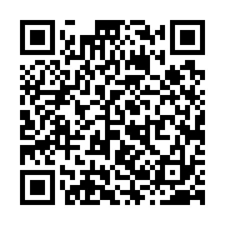 QR code for X24733