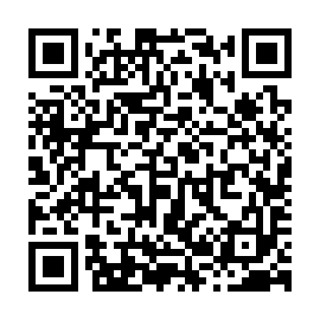 QR code for X26393