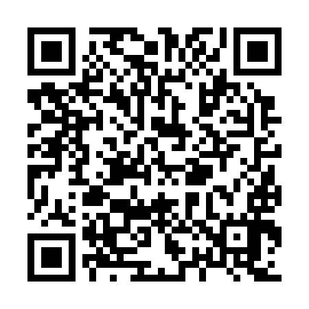 QR code for X26397