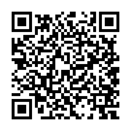 QR code for X268433