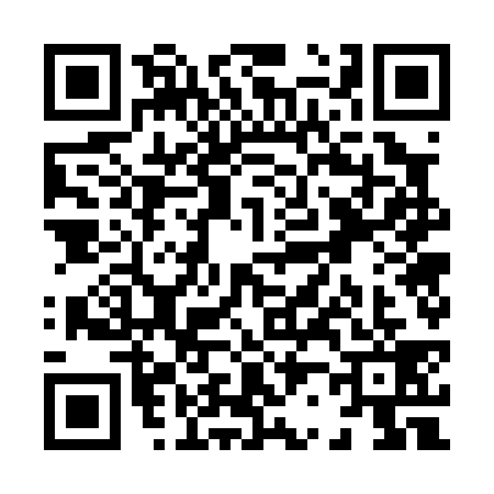 QR code for X270393