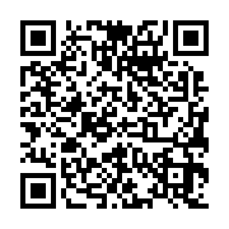 QR code for X272339