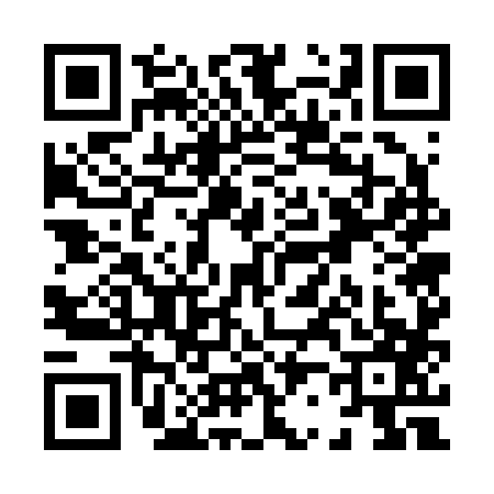 QR code for X272870