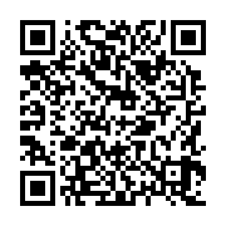 QR code for X28389