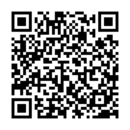 QR code for X28705