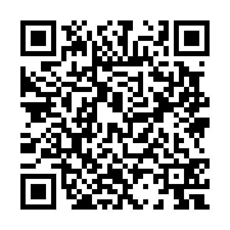 QR code for X290327