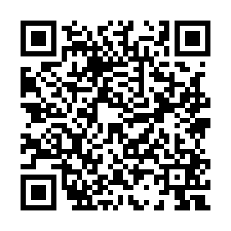 QR code for X291410