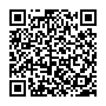 QR code for X29238