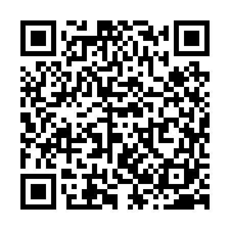 QR code for X29261