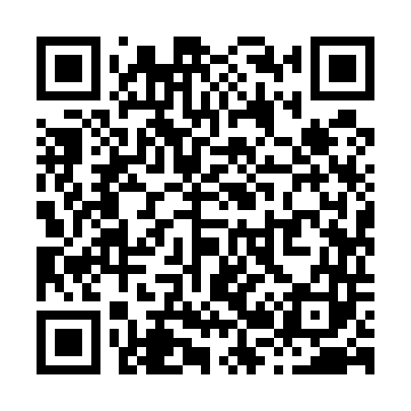 QR code for X29543