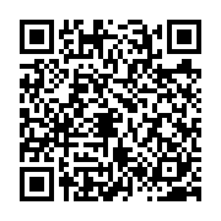 QR code for X296201