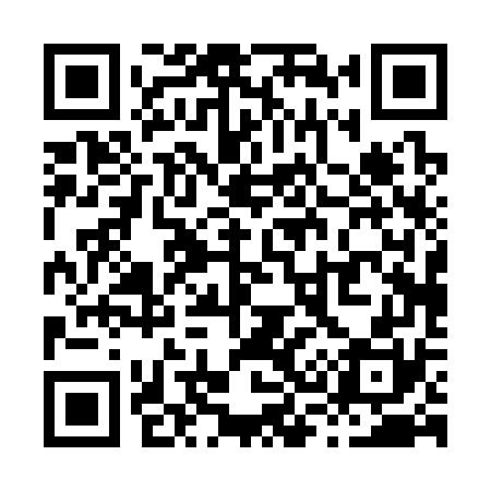 QR code for X30370