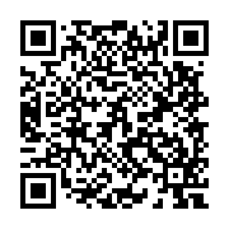 QR code for X30597