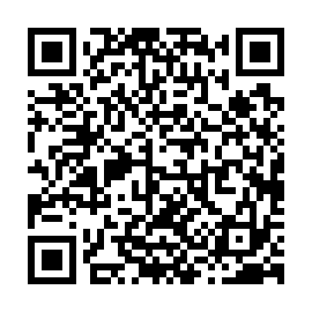 QR code for X30733