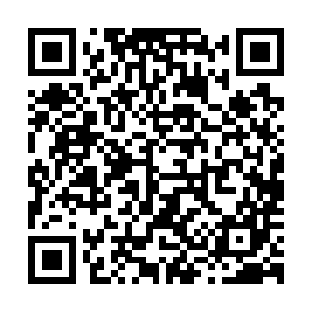 QR code for X30787