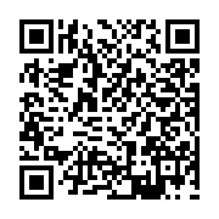 QR code for X313121