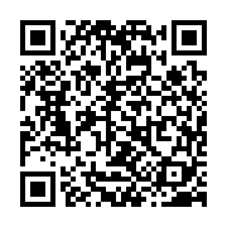 QR code for X31369