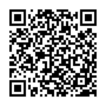 QR code for X31462