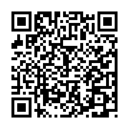 QR code for X325401