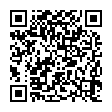QR code for X32993