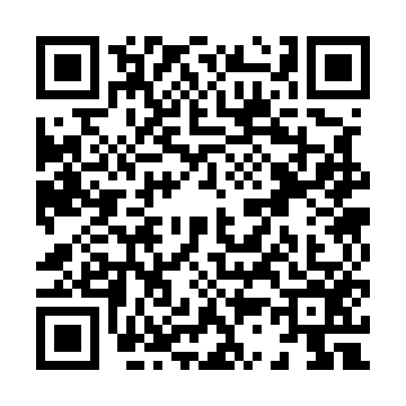 QR code for X335560