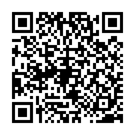 QR code for X335904