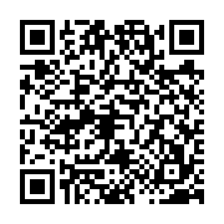 QR code for X336361
