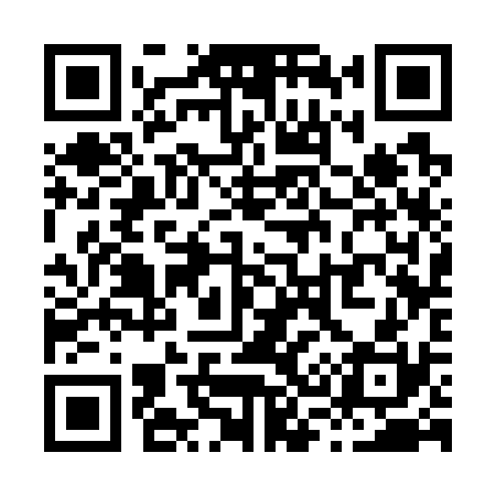 QR code for X33730