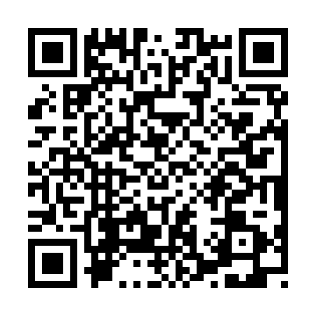 QR code for X339210