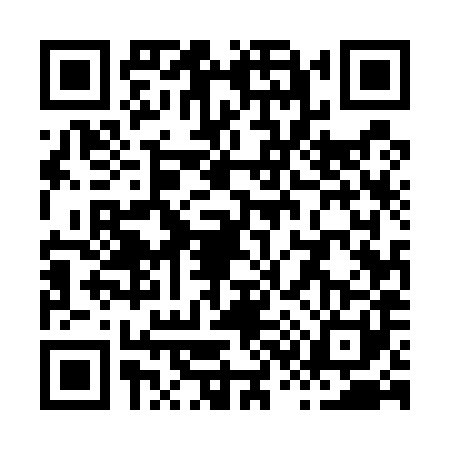 QR code for X355819