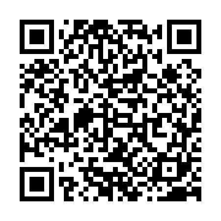 QR code for X37161