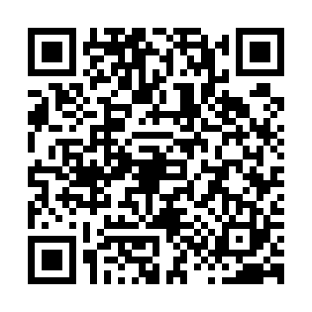 QR code for X375236