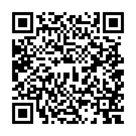 QR code for X375838