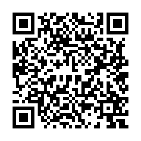 QR code for X378271
