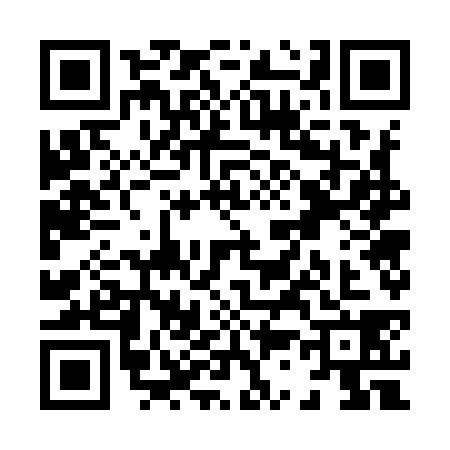 QR code for X379381