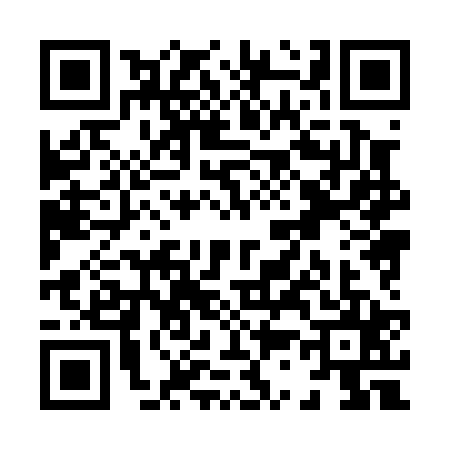 QR code for X380255