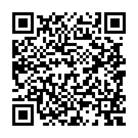 QR code for X380818