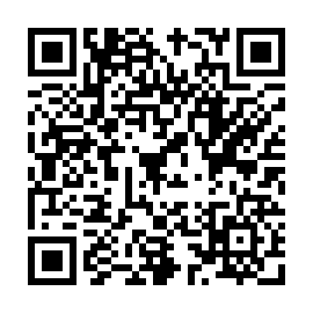 QR code for X381263
