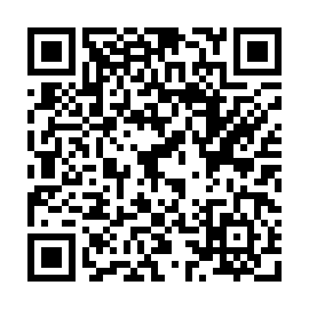 QR code for X381843