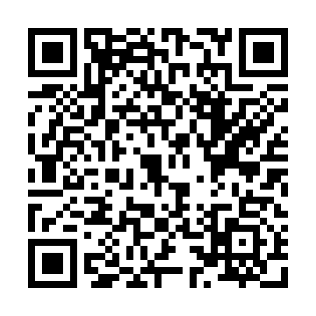 QR code for X383133